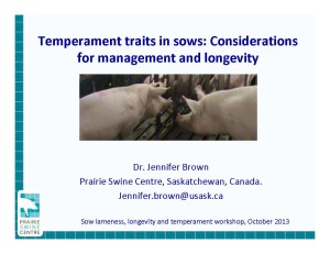 J Brown Sow temperament presentation