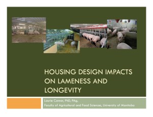 L Connor Housing Design impacts on Lameness and Longevity