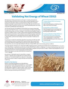 Volume 1 Issue 17 Wheat DDGS