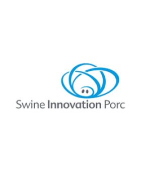 Swine Innovation Porc